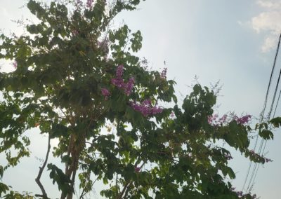 معرض شركة 29 العالمية (11)