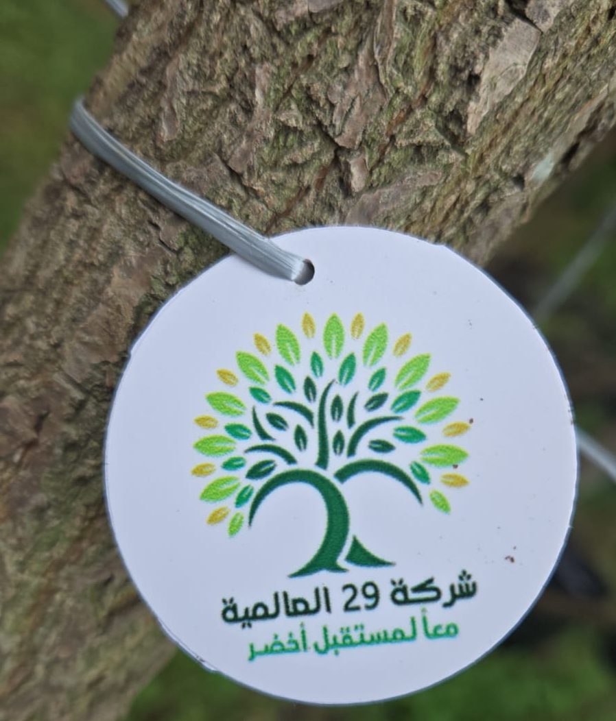 Tree Tags